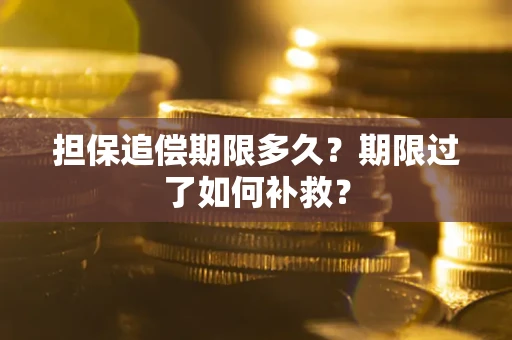 济南担保追偿期限多久？期限过了如何补救？